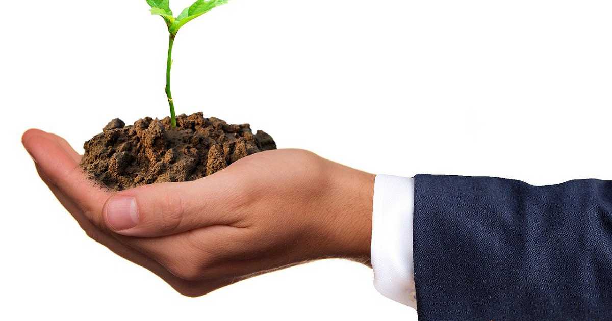 Aziende green: come riconoscerle e quali sono i vantaggi della sostenibilit�